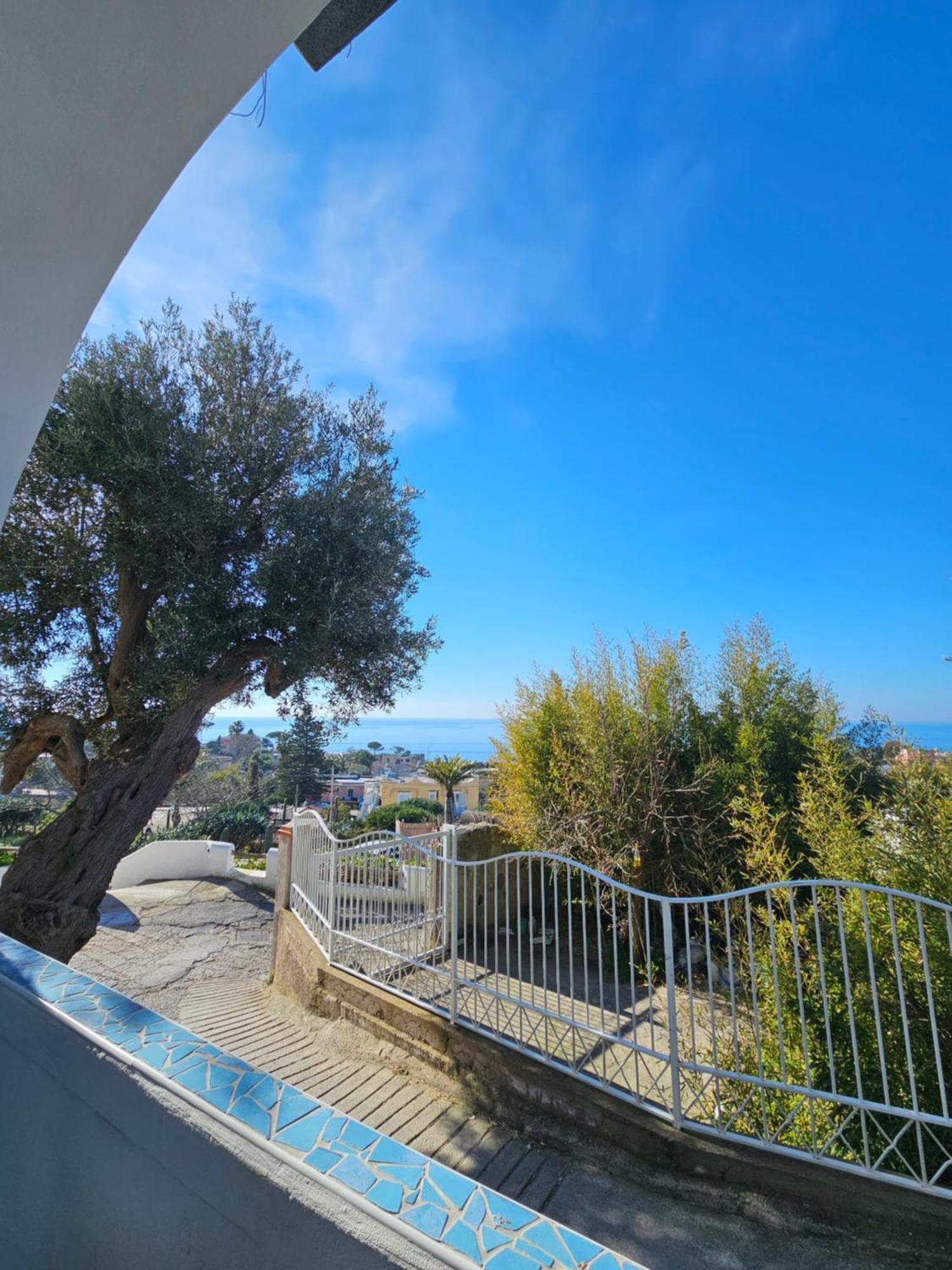 Residence Limoneto Ischia Forio  Bagian luar foto