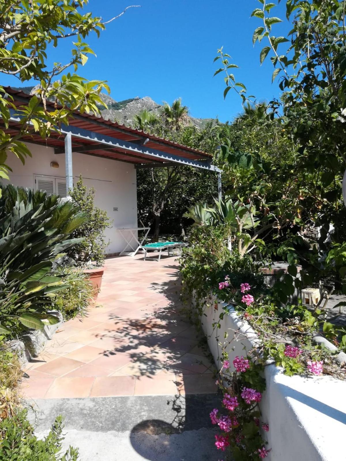 Residence Limoneto Ischia Forio  Bagian luar foto