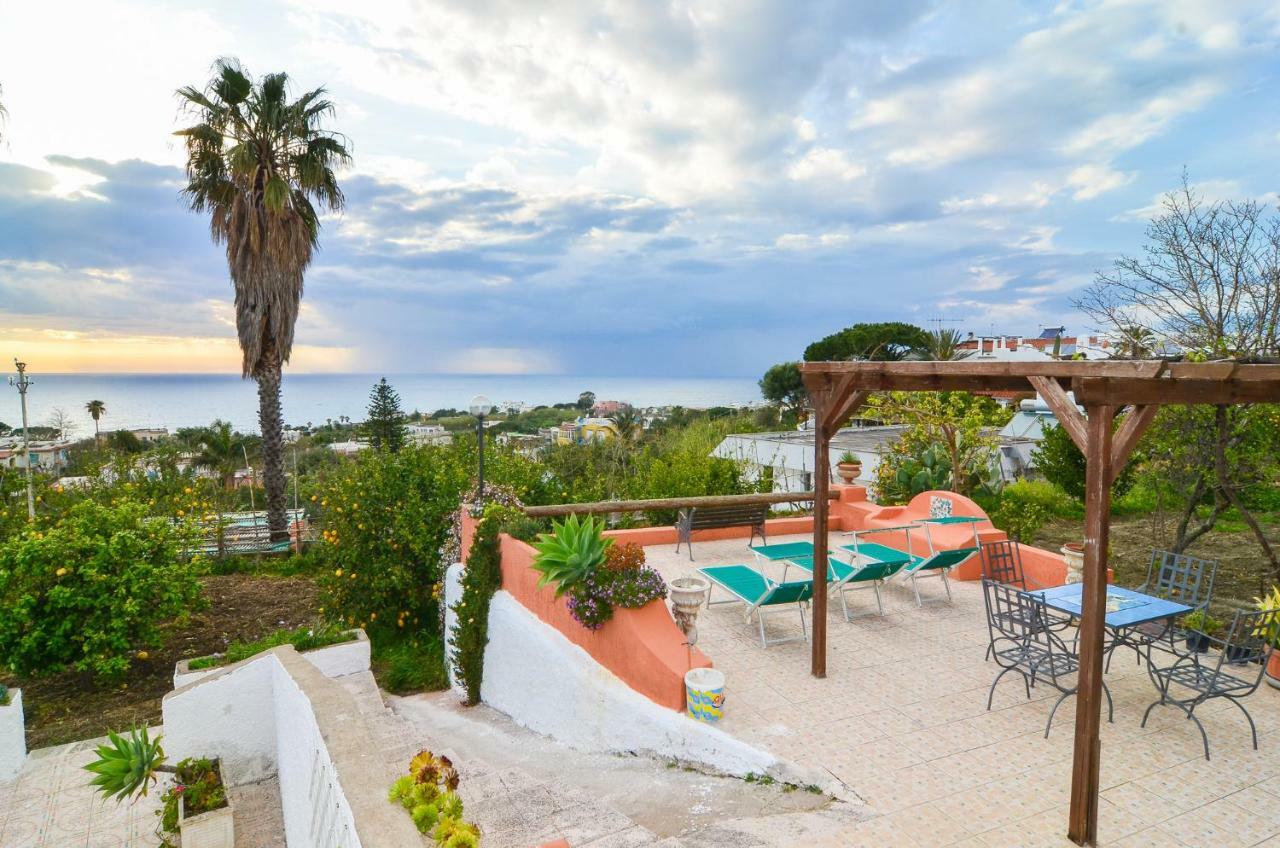 Residence Limoneto Ischia Forio  Bagian luar foto