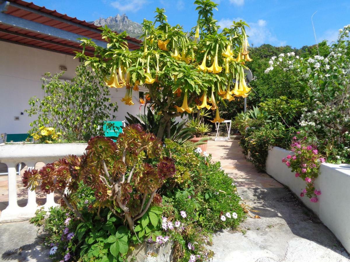 Residence Limoneto Ischia Forio  Bagian luar foto
