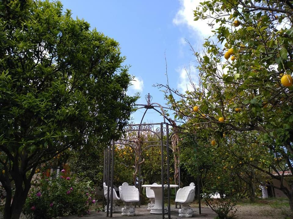 Residence Limoneto Ischia Forio  Bagian luar foto